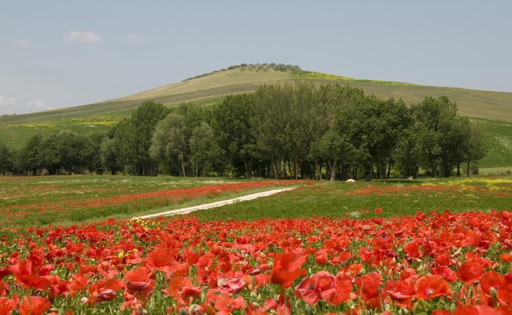 Agriturismo Lunadoro مونتيتشيلو المظهر الخارجي الصورة